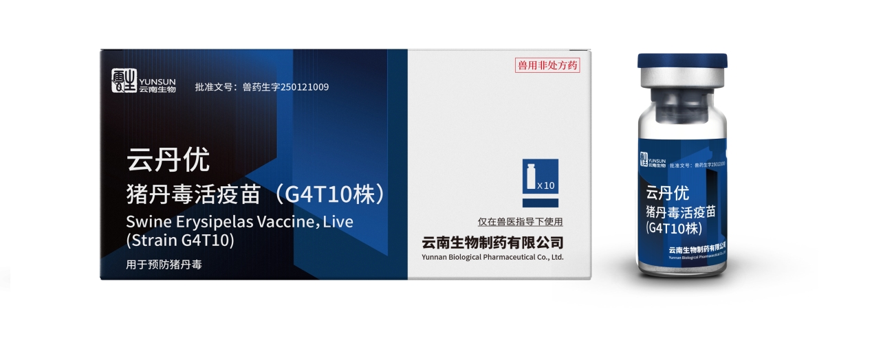 云丹优